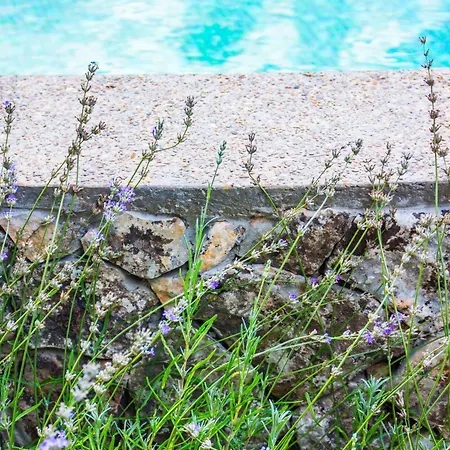 Villa стальовата къща - Stalyovata House